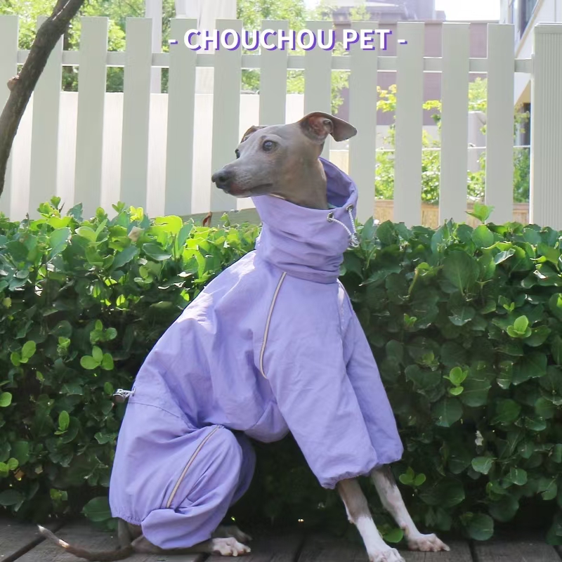 Italian Greyhound Raincoat Aut - Dog Raincoat recension och pris