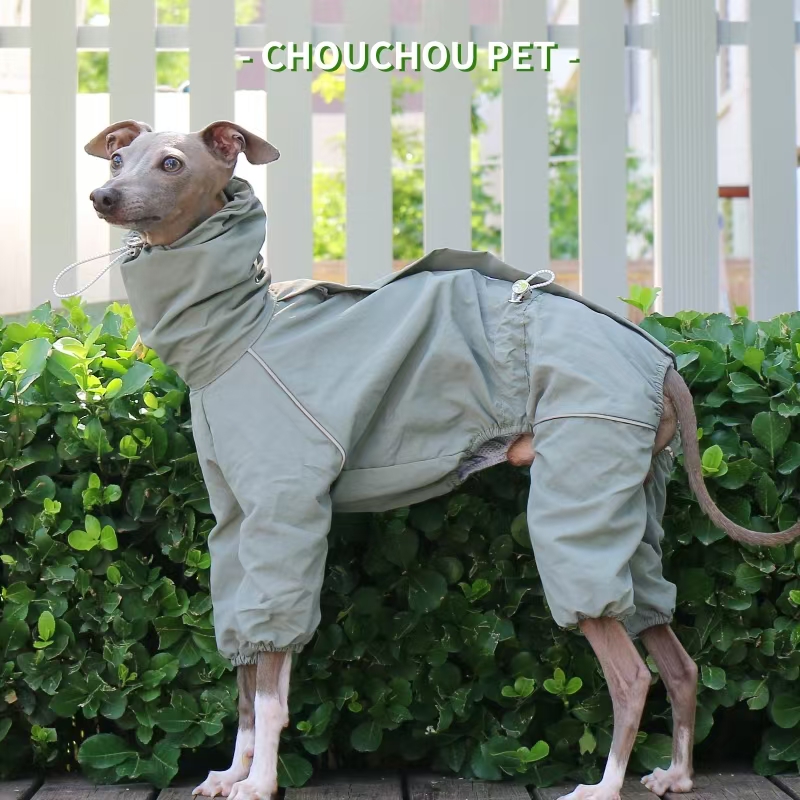 Italian Greyhound Raincoat Aut - Dog Raincoat recension och pris