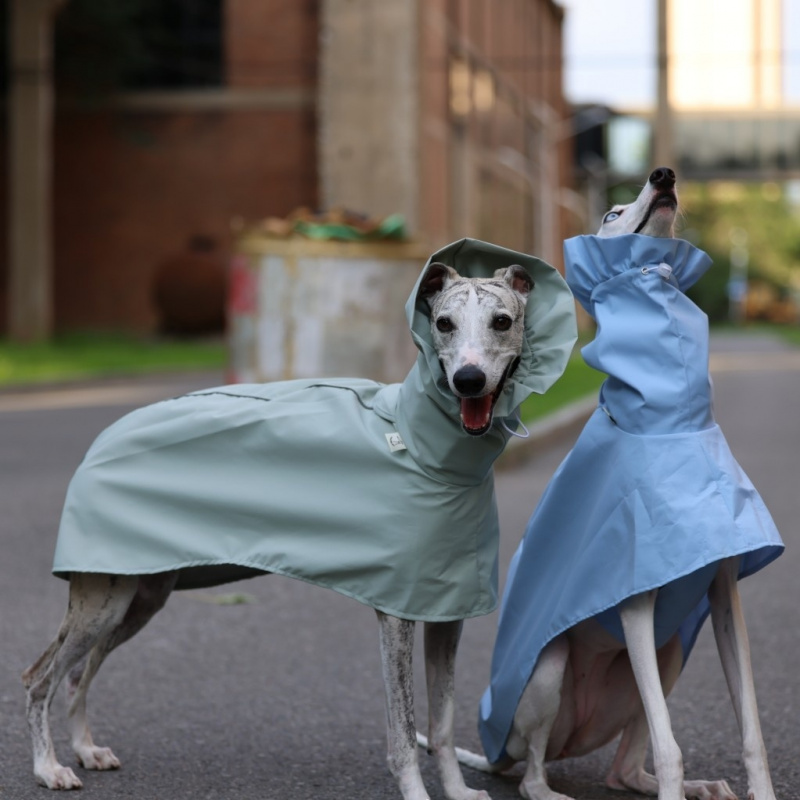Solid Color Raincoat for Itali - Dog Raincoat recension och pris