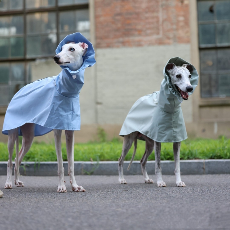 Solid Color Raincoat for Itali - Dog Raincoat recension och pris