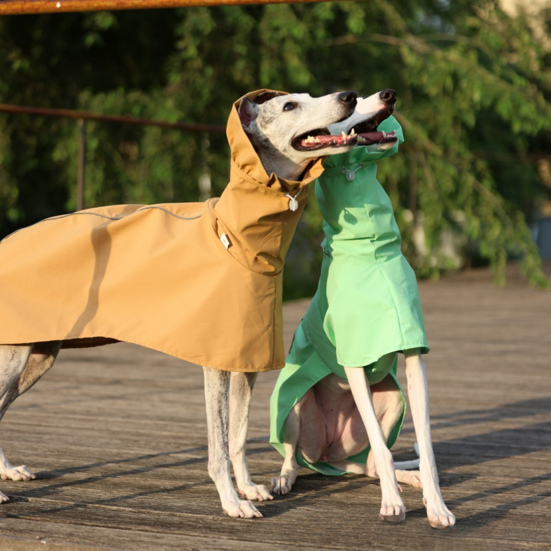 Solid Color Raincoat for Itali - Dog Raincoat recension och pris