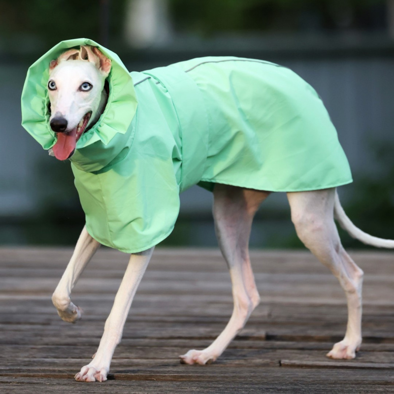 Solid Color Raincoat for Itali - Dog Raincoat recension och pris