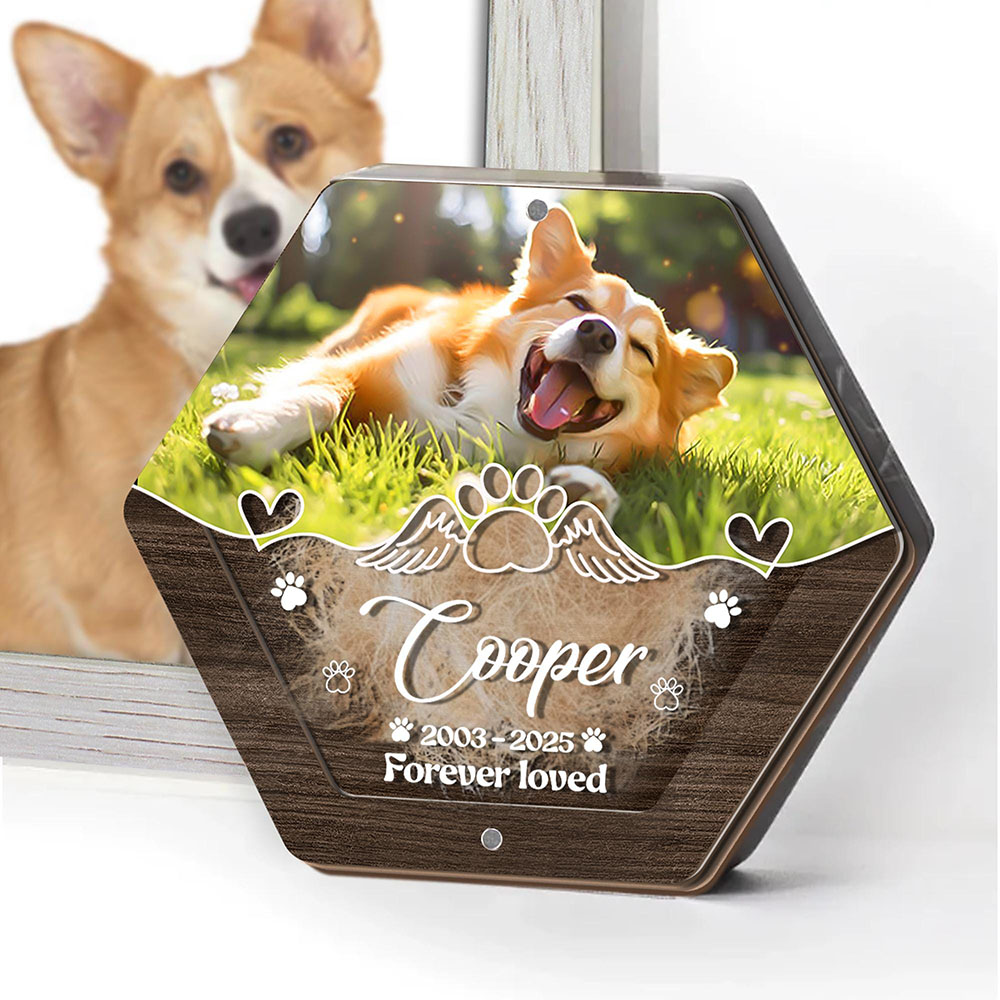 Personalized Name Wooden Carvi - Pet Supplies Stores recension och pris