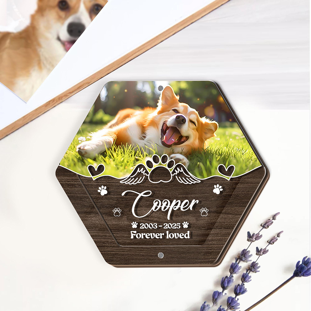 Personalized Name Wooden Carvi - Pet Supplies Stores recension och pris