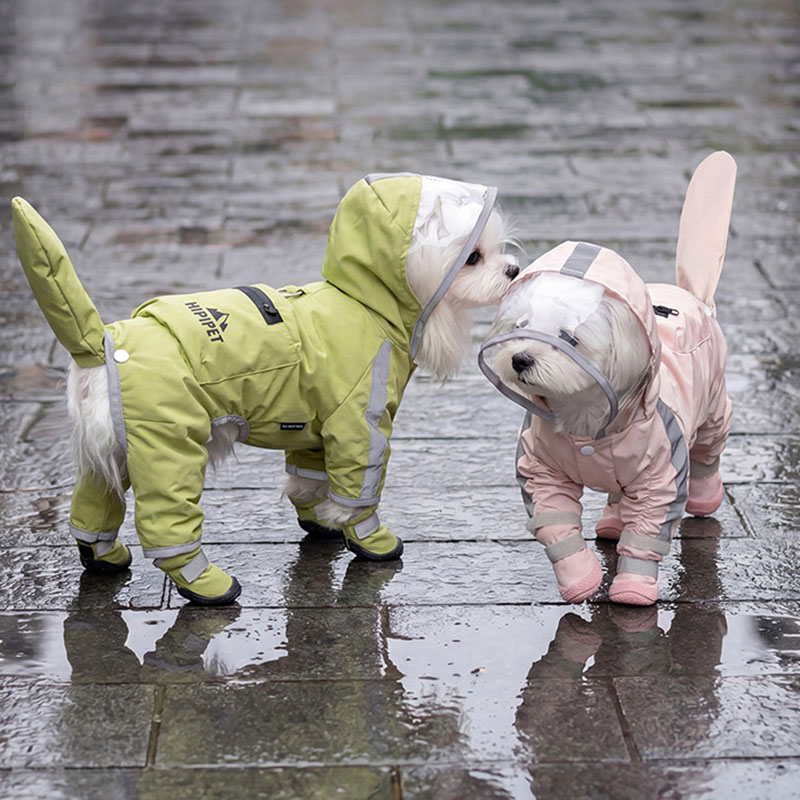 Waterproof Dog Raincoat Clear  - Dog Raincoat recension och pris