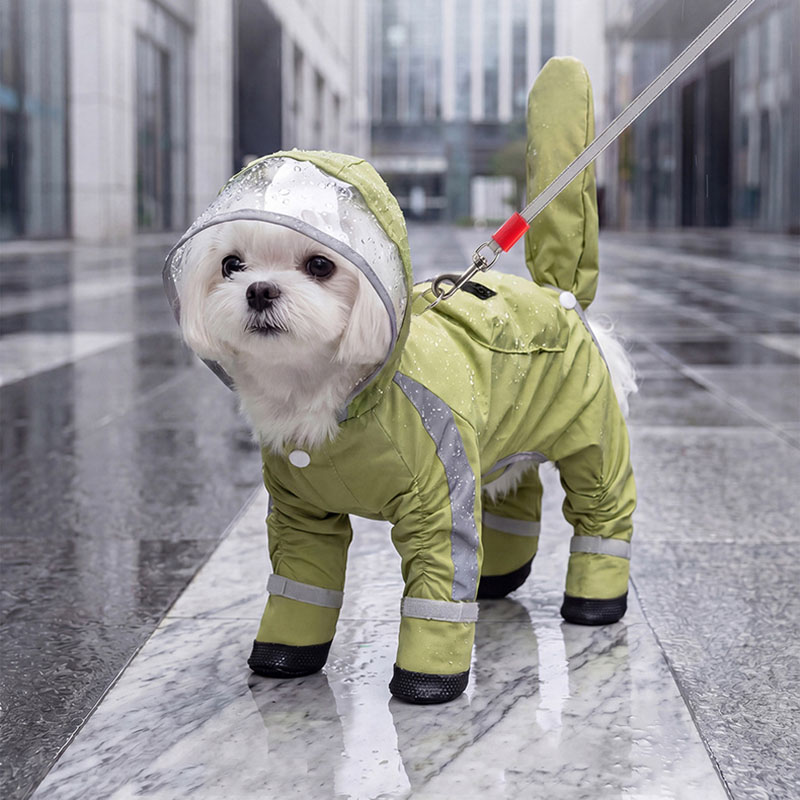 Waterproof Dog Raincoat Clear  - Dog Raincoat recension och pris