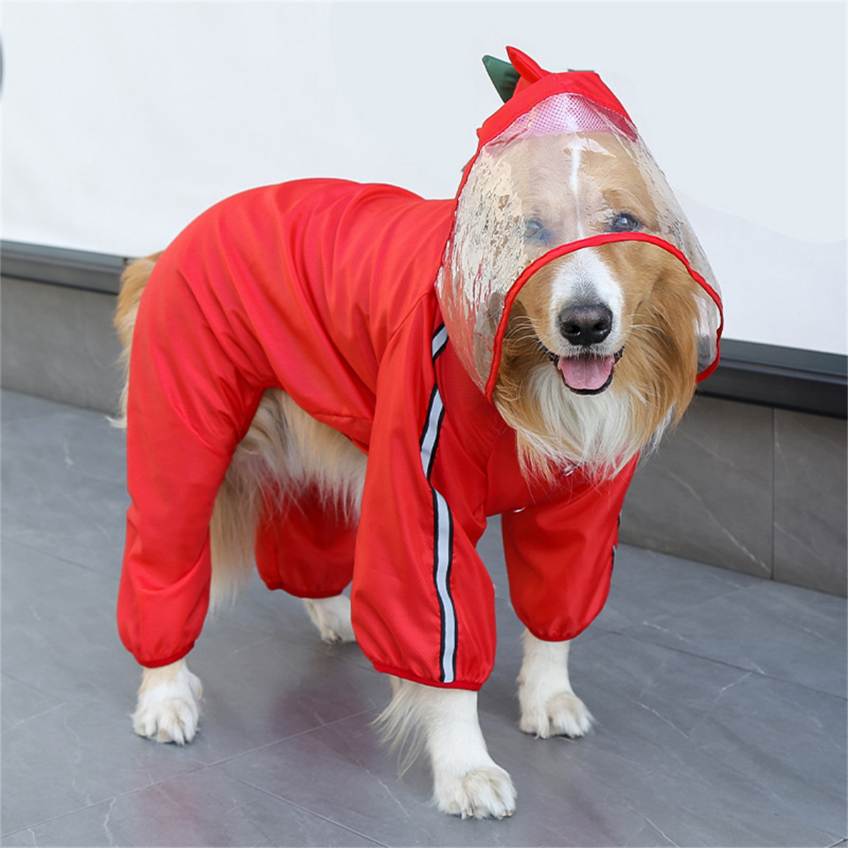 Dog Raincoat Waterproof Dogfac - Dog Raincoat recension och pris