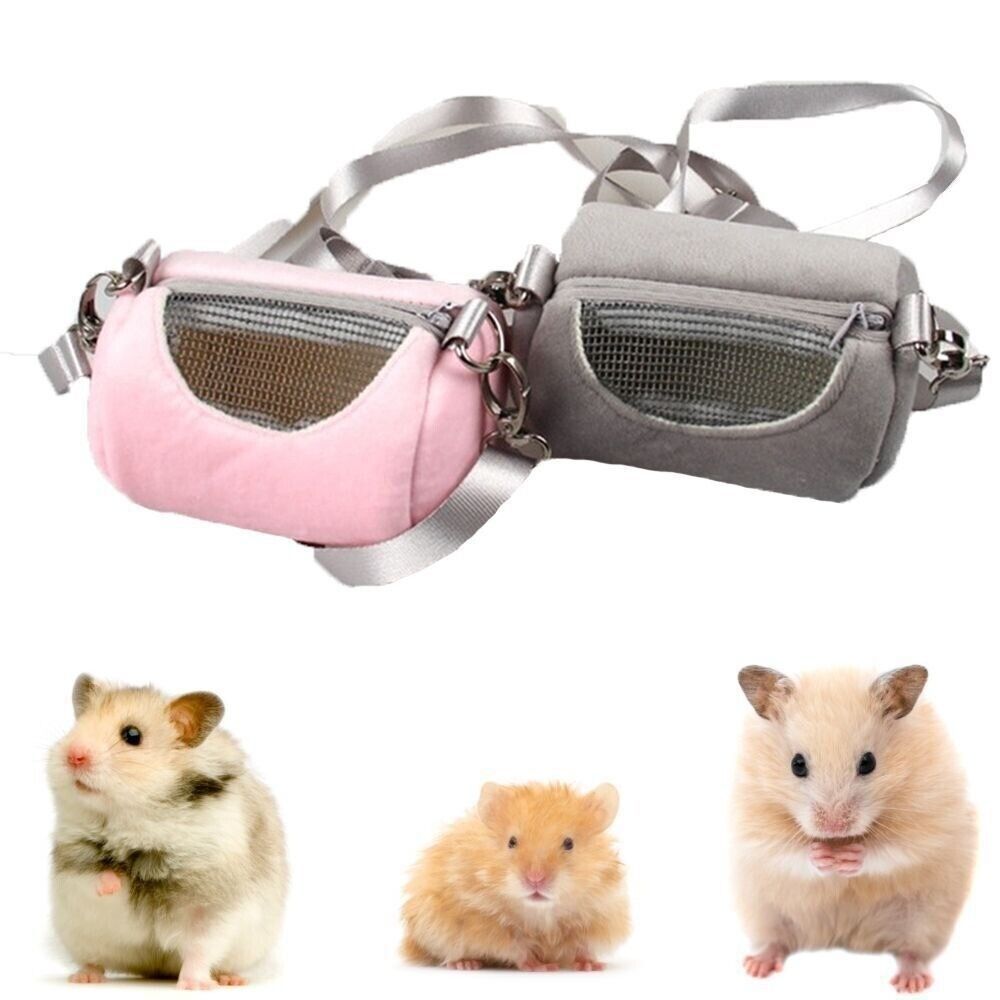 Small Pet Supplies Shoulder St - Pet Supplies Stores recension och pris