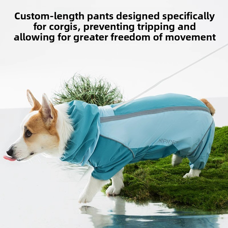 2026 Full Coverage Color Block - Dog Raincoat recension och pris