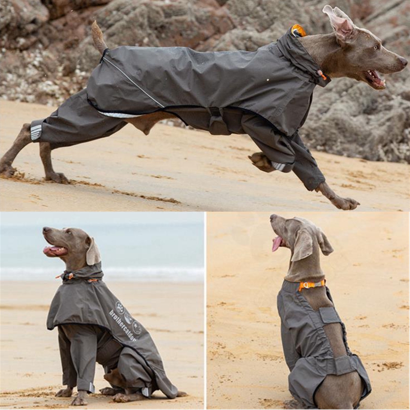 Waterproof Dog Raincoat Jumpsu - Dog Raincoat recension och pris