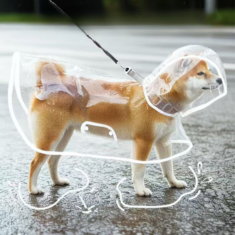 XS-8XL Pet Raincoat Transparen - Dog Raincoat recension och pris
